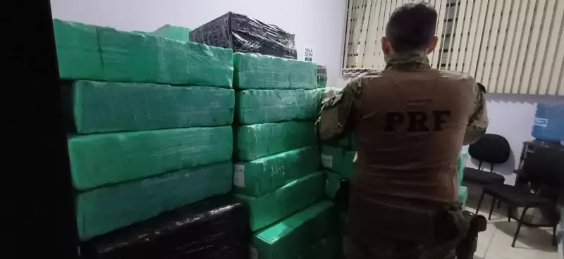 Apreensão recorde: mais de 5 toneladas de maconha congelada escondidas em carga de peixe no litoral de SP