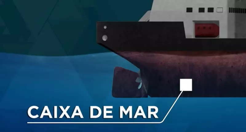 Aquaman do Tráfico: Criminosos de SP recrutavam mergulhadores do ES para esconder drogas em navios