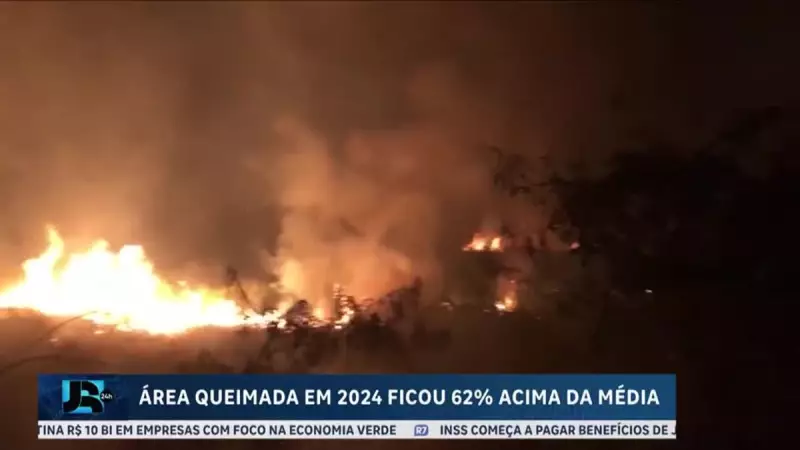 Área queimada no Brasil em 2024 já supera média histórica em 62% — veja os impactos
