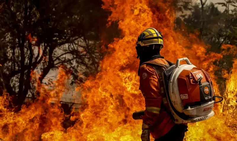 Área queimada no Brasil em 2024 já supera média histórica em 62%, alerta MapBiomas