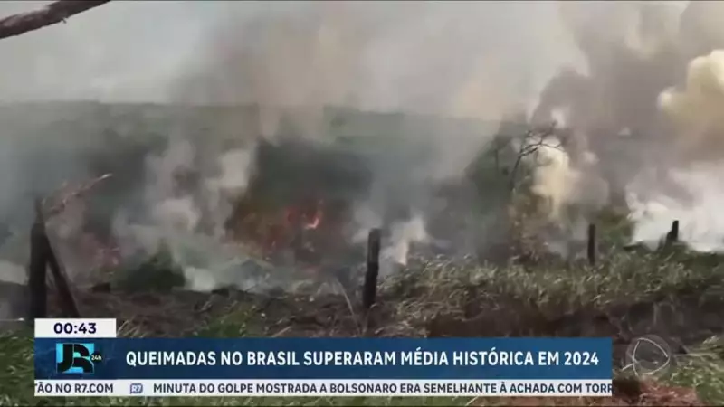 Área queimada no Brasil em 2024 já supera média histórica em 62%: entenda os impactos