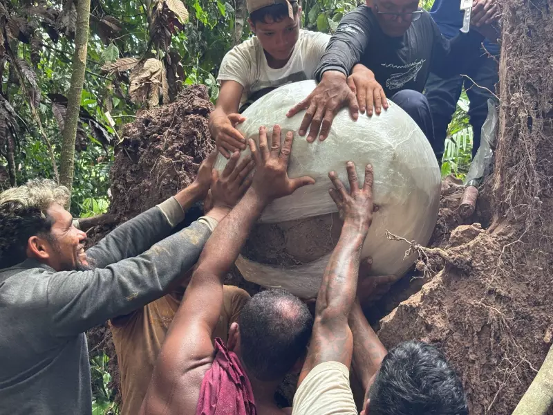 Arqueólogos descobrem urnas funerárias milenares e ossos humanos em ilha artificial construída por indígenas no Amazonas
