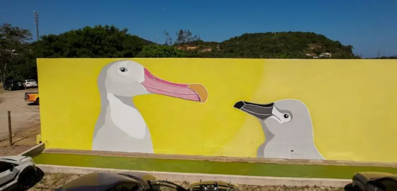 Arraia do Albatroz inaugura temporada de visitas aos fins de semana com festa gratuita em Cabo Frio, RJ