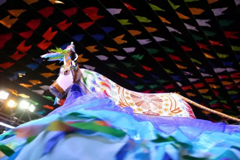Arraial do IPEM recebe Boi Encanto e Novilho Branco em noite de festa junina em São João