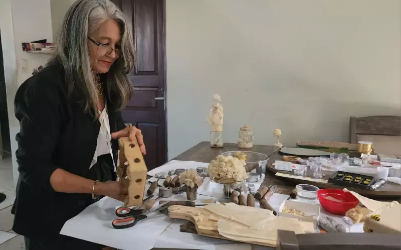 Arte e Sustentabilidade: Empreendedora Transforma Cera de Abelha em Terapia e Negócio Inovador em Roraima