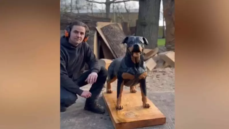 Artista transforma madeira em esculturas de animais tão realistas que parecem vivos!