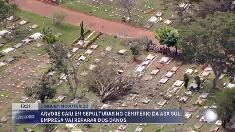 Árvore cai e destrói túmulos no Cemitério Campo da Esperança, em Brasília
