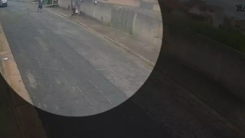 Ataque de Pit Bull assusta adolescentes durante passeio com cães em Mogi das Cruzes