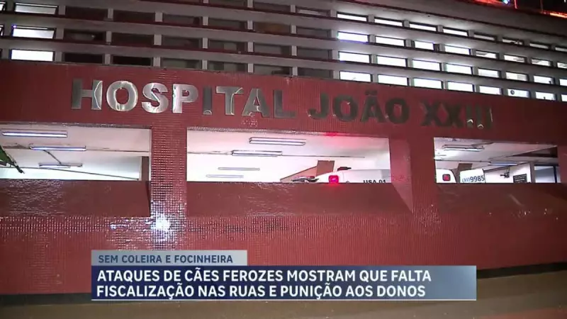 Ataques caninos em BH: Pronto-Socorro João XXIII registra 147 atendimentos em 2025