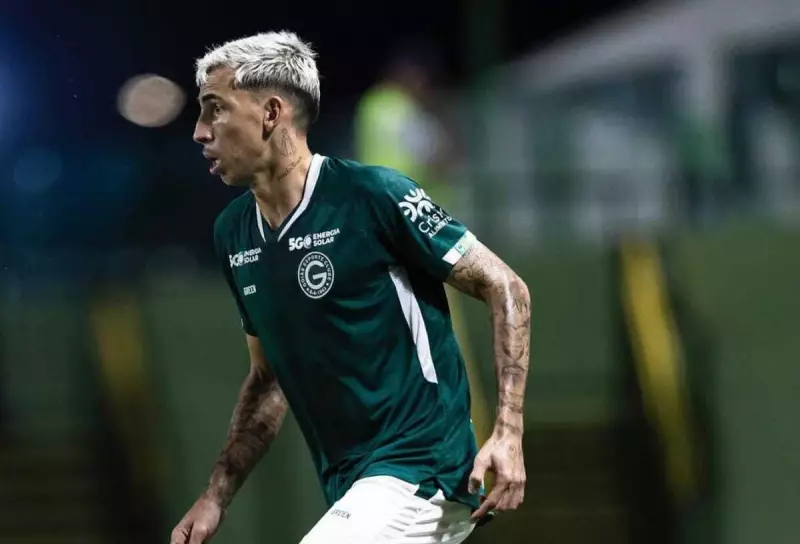 Avaí anuncia primeiro reforço para continuidade na Série B: saiba quem é o novo jogador