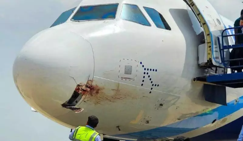 Avião com 175 passageiros é obrigado a arremeter após colidir com ave em pleno voo no Espírito Santo