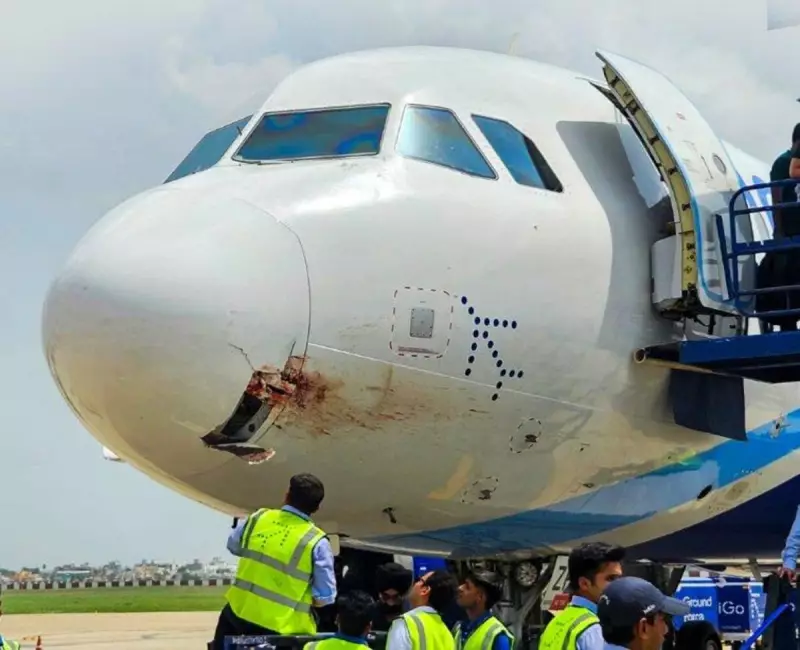 Avião com 175 passageiros é obrigado a arremeter após colisão com pássaro em pleno voo