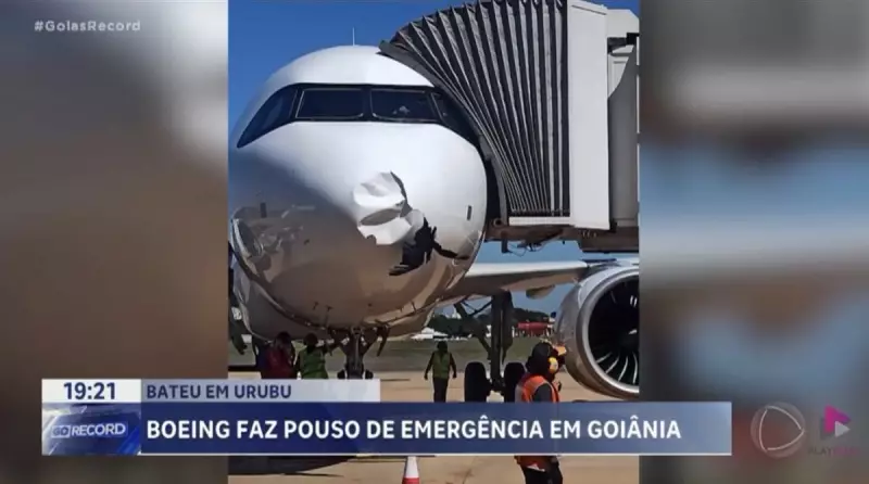 Avião faz pouso de emergência em Goiânia após colidir com urubu: saiba detalhes