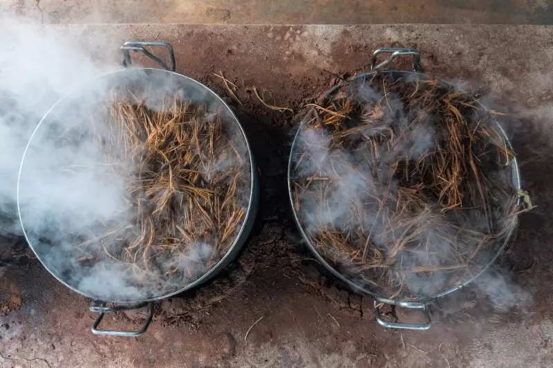 Ayahuasca: entenda o chá alucinógeno ingerido por homem que desapareceu em floresta no Ceará