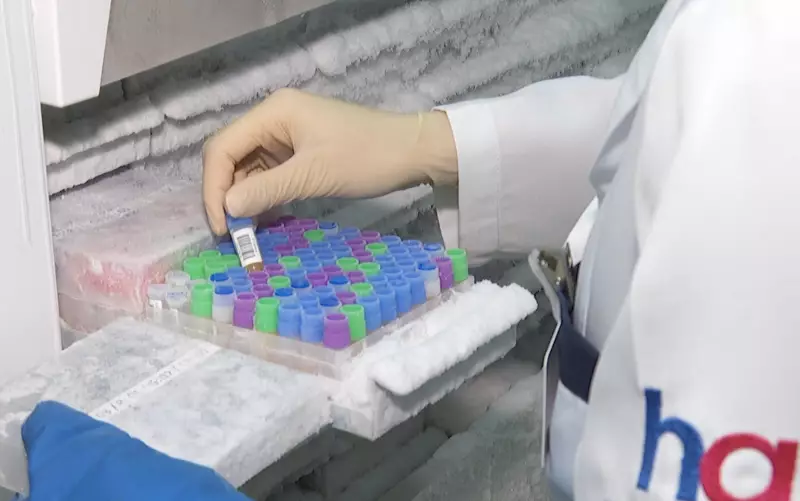 Bactéria na boca pode aumentar risco de câncer de cabeça e pescoço, revela estudo