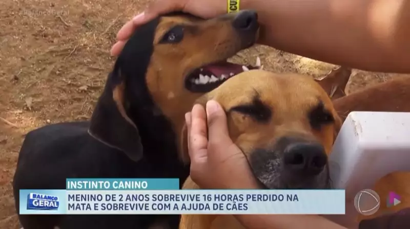 Balanço Geral Interior SP: Confira as Principais Notícias da Semana