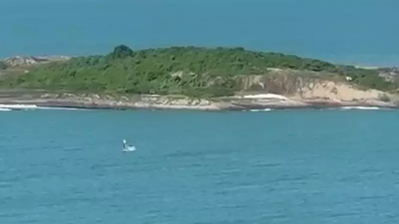 Baleia jubarte é avistada em praia de Vila Velha e marca início da temporada 2025 no ES