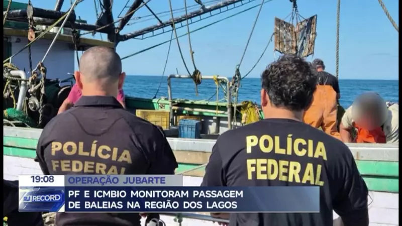 Baleias encantam na Região dos Lagos: PF e ICMBio monitoram passagem dos gigantes do mar