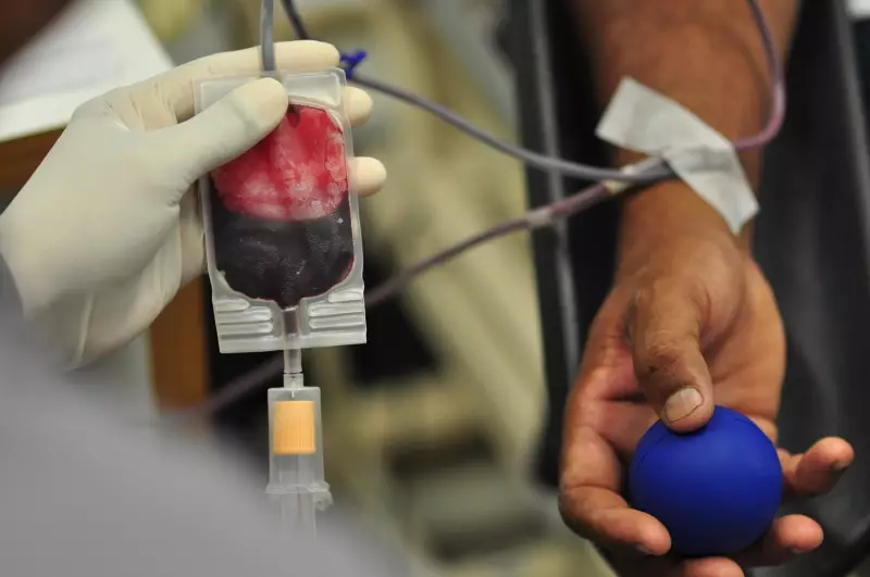 Banco de Sangue em Tatuí promove campanha de doação: saiba como participar e salvar vidas