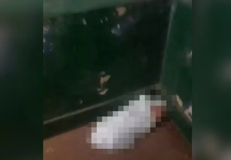 Bebê abandonado em Filadélfia: Vídeo emocionante mostra momento em que servidor encontra criança