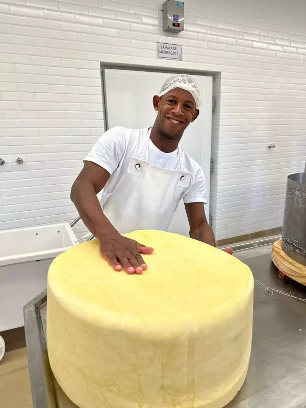 Belmirão de 45 kg será aberto no Festival do Queijo após um ano de maturação — confira a programação