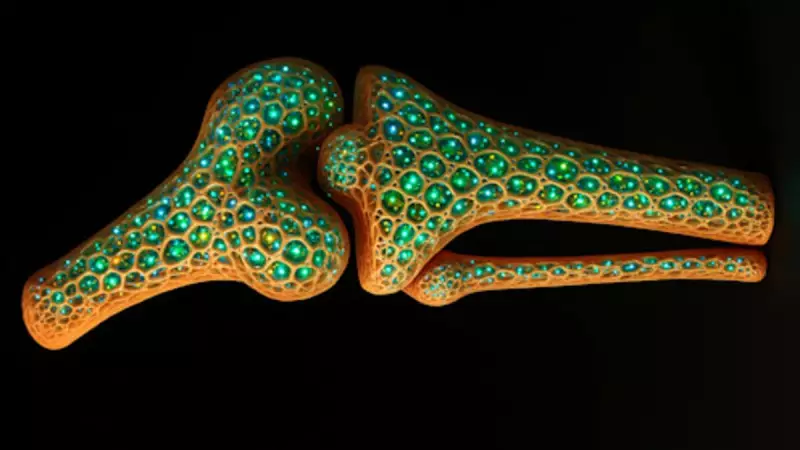 Bioinspiração: Os materiais inovadores que estão revolucionando a fronteira entre o vivo e o não vivo