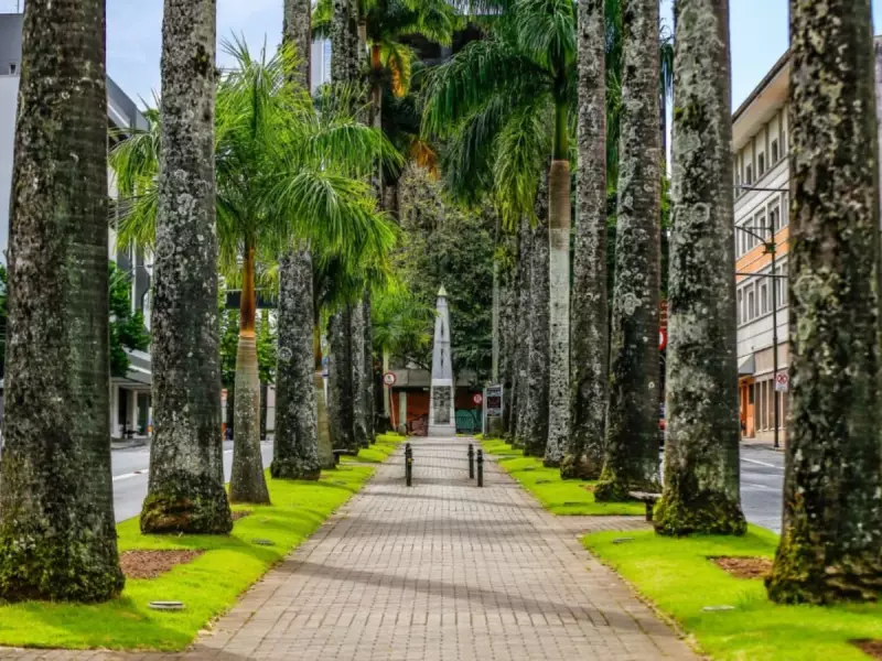 Blumenau terá ruas bloqueadas por eventos neste final de semana: confira as alternativas