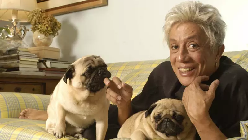 Bolsonaristas prestam homenagem polêmica a Clodovil na Câmara: veja detalhes