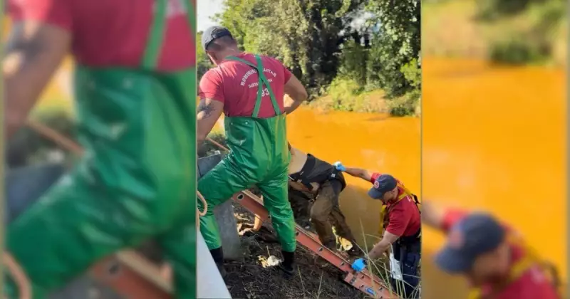 Bombeiros realizam resgate dramático de homem jogado no Rio Sangão em Criciúma