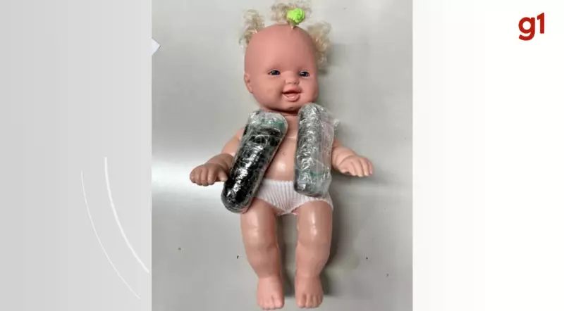 Boneca recheada com haxixe é interceptada pelos Correios em Santa Catarina