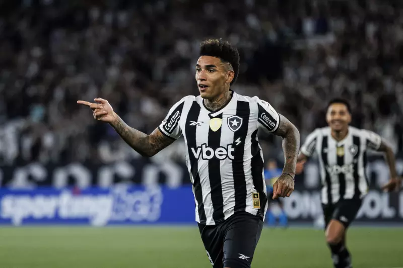 Botafogo x Ceará: onde assistir, horário e escalações do jogo emocionante