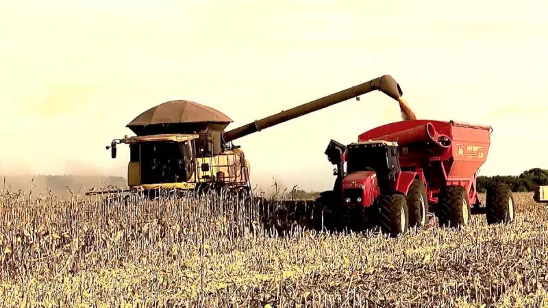 Brasil busca liderança global em segurança alimentar: saiba os planos do governo