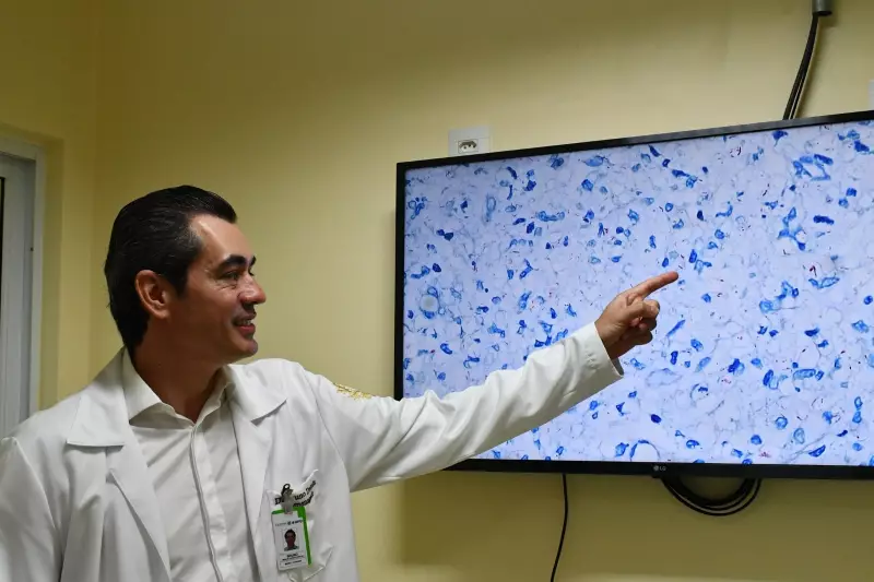 Brasil desenvolve método inovador para prevenir retorno da hanseníase com mais de 95% de precisão