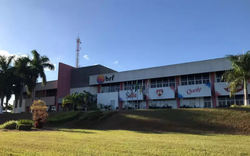 BRF sacrifica 74 mil galinhas em Goiás para prevenir gripe aviária | Medida preventiva