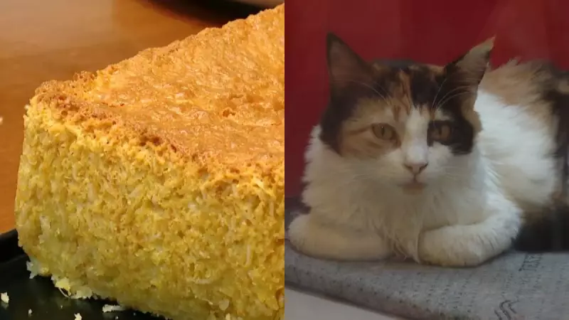 Broa de Milho com Queijo e Coco: Receita Tradicional em Destaque no PET Café