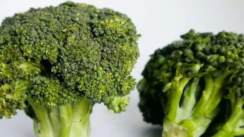 Brócolis: o superalimento que ajuda na dieta e fortalece a saúde
