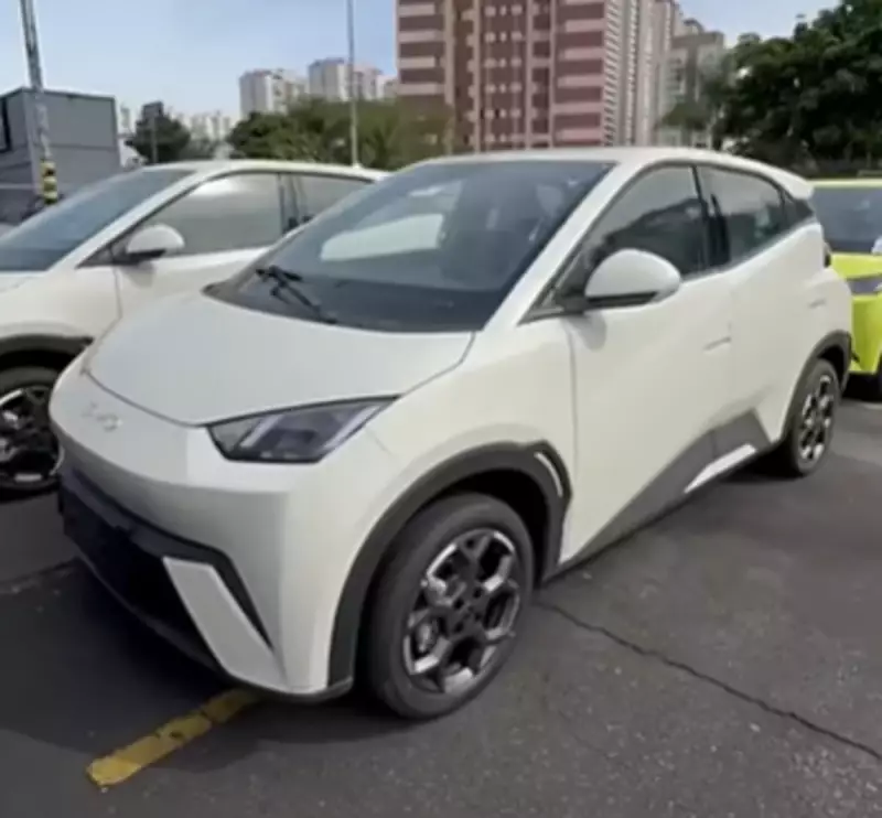 BYD Dolphin Mini 2026: Novidades e Mudanças Exclusivas Reveladas