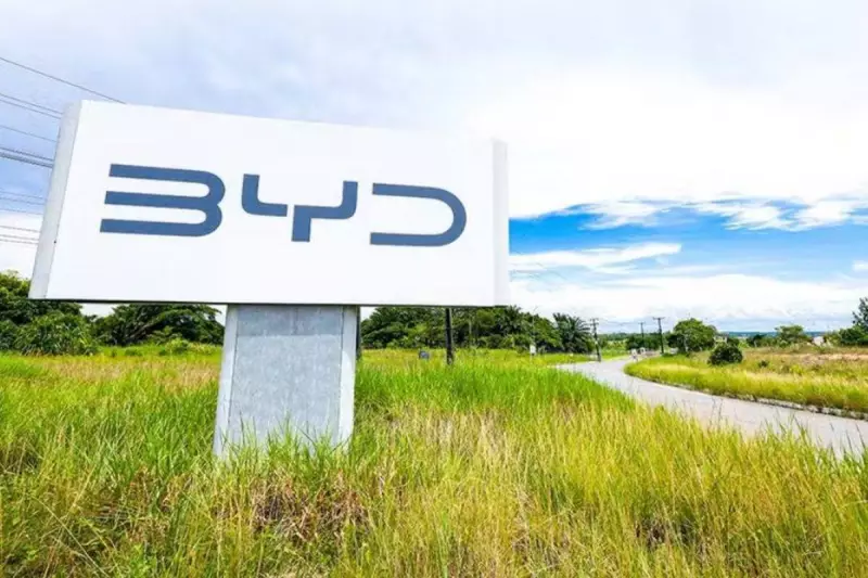 BYD inaugura fábrica em Camaçari com veículos quase prontos importados: entenda o polêmico início