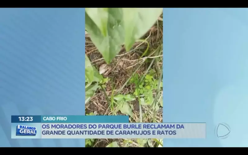 Cabo Frio (RJ) em crise: lixo e caramujos assombram moradores