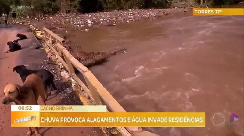 Cachoeirinha em crise: Moradores enfrentam alagamentos e ausência de apoio das autoridades
