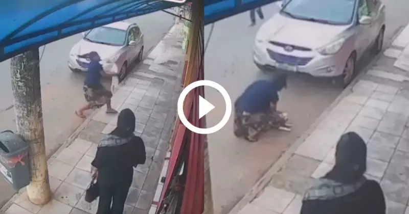 Cachorro cai de prédio no DF após sufocar com coleira e é salvo no último segundo — veja o vídeo