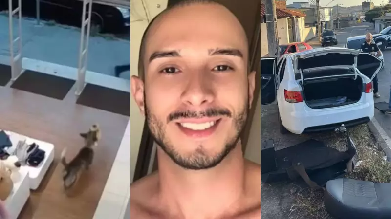 Cachorro furta ursinho em loja e ex-noivo planeja morte de professor: caso termina em acidente com carro clonado