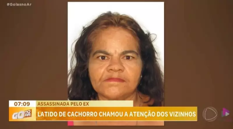 Cachorro herói ajuda polícia a prender suspeito de feminicídio em Goiânia
