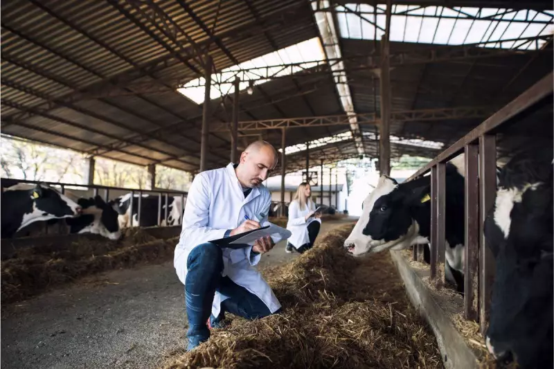 Cadastro Agropecuário em SC: Saiba por que será obrigatório para criadores de abelhas e bovinos