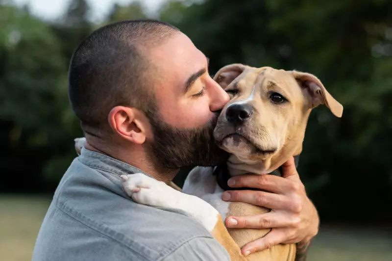 Cães e donos podem compartilhar traços de personalidade, revela estudo