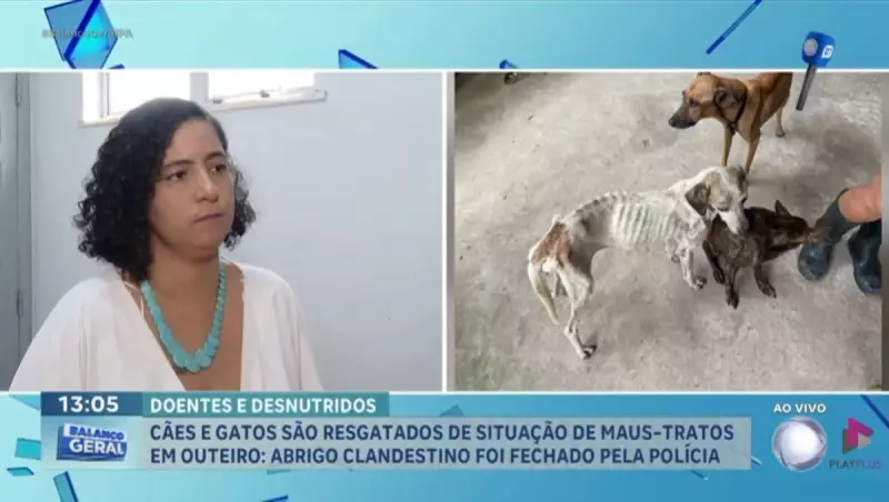 Cães em situação de extrema vulnerabilidade são resgatados em Outeiro, PA: Veja como ajudá-los