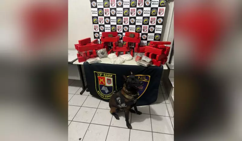 Cães farejadores ajudam a apreender mais de 50 kg de drogas em Marília