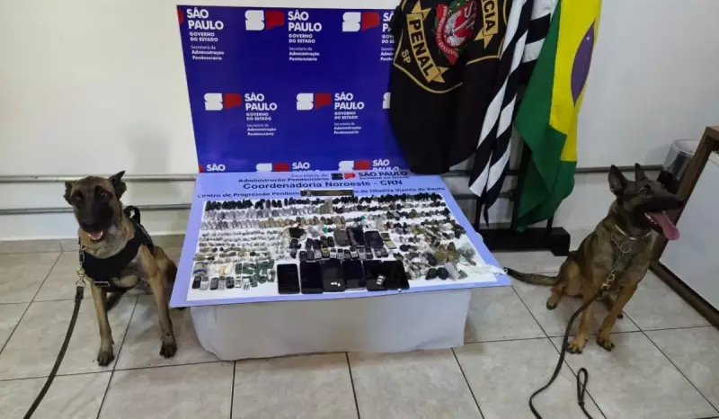 Cães farejadores desvendam esquema de drogas e celulares em presídios de Bauru