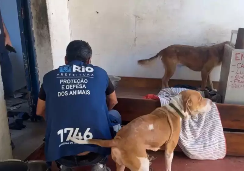 Cães resgatados em situação de maus-tratos na Zona Norte do Rio: veja detalhes