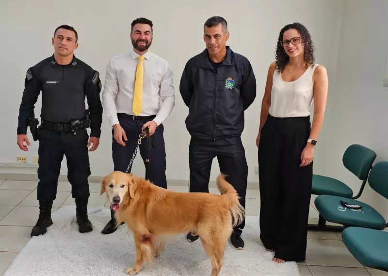 Cães-terapeutas trazem conforto e apoio a crianças vítimas de violência em Anastácio